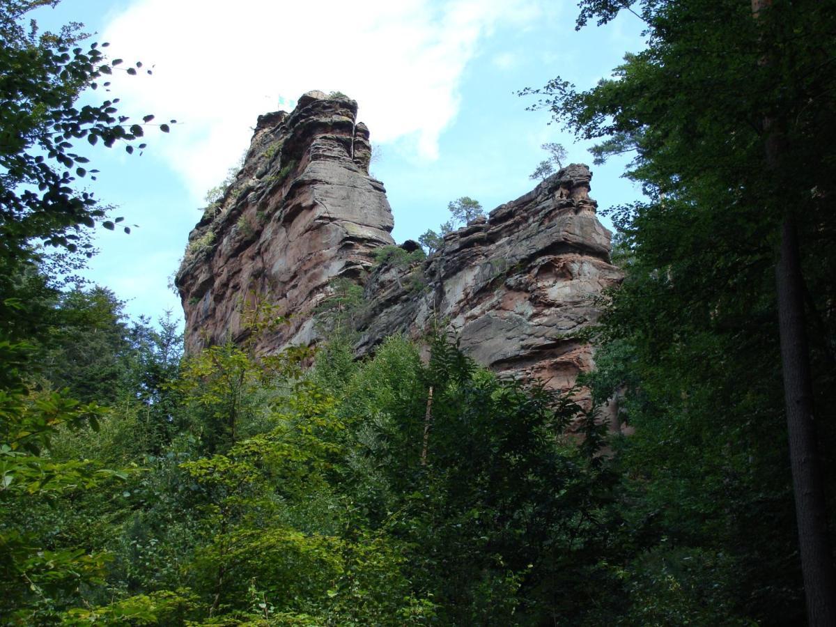 Hotel-Hauensteiner-Hof Luaran gambar